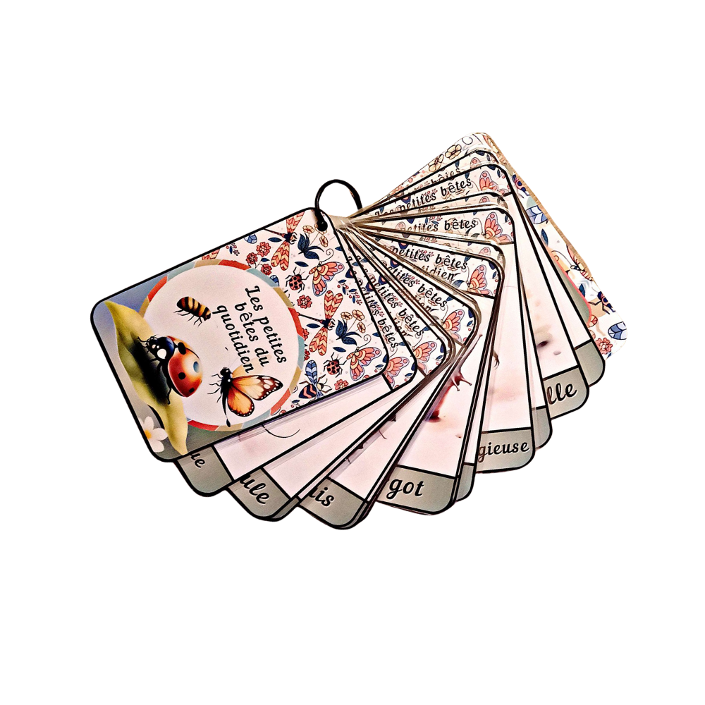 đImagiers Le Duo " Animaux et Petites BĂȘtes du quotidien"đ Ninimagine