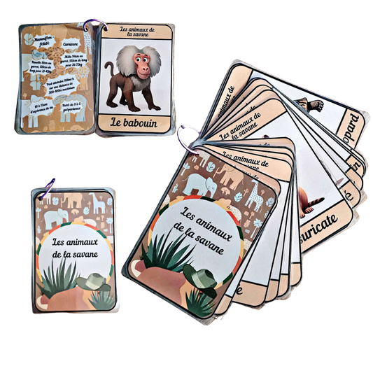 🌿🦓Imagier Educatif " Les Animaux de la Savane" 🦁🌿 Ninimagine