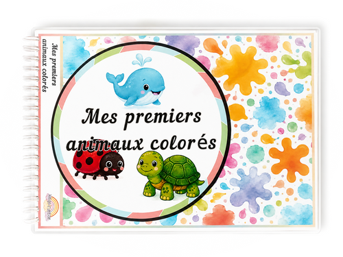 Les couleurs pour les tout-petits – Livre d’apprentissage 15-18 mois Ninimagine