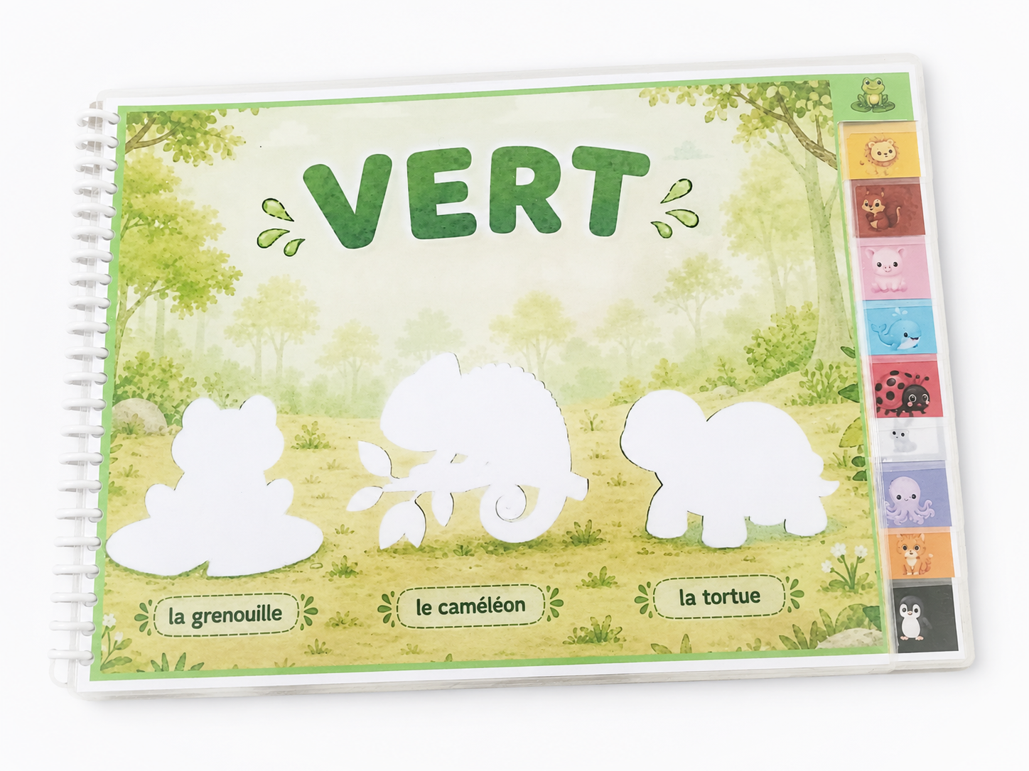 Les couleurs pour les tout-petits – Livre d’apprentissage 15-18 mois Ninimagine
