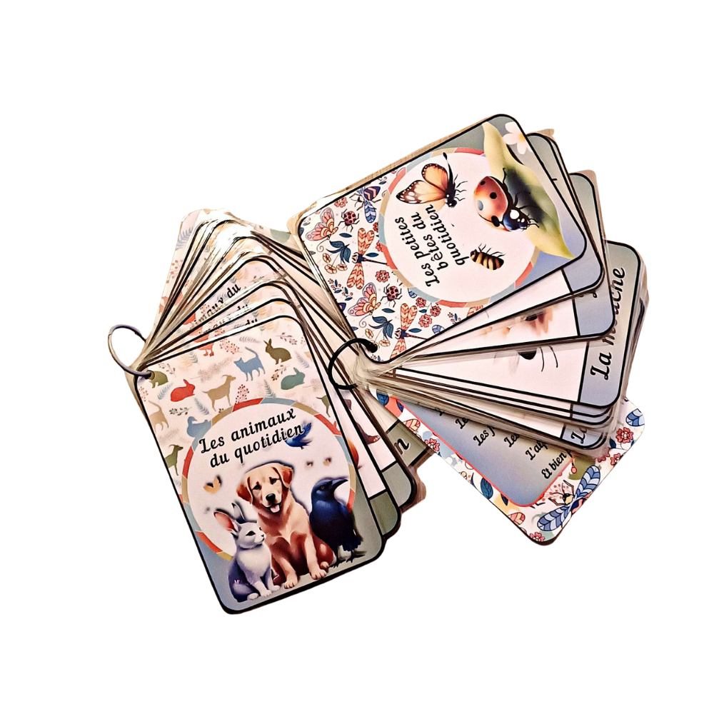 🐞Imagiers Le Duo " Animaux et Petites Bêtes du quotidien"🐈 Ninimagine