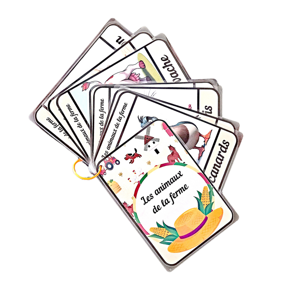 🐮🌈 Imagiers Éducatifs Pack Découverte 🍎🚗 Ninimagine