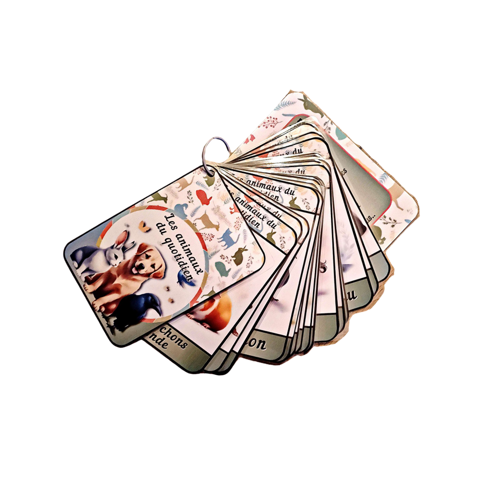 🐞Imagiers Le Duo " Animaux et Petites Bêtes du quotidien"🐈 Ninimagine