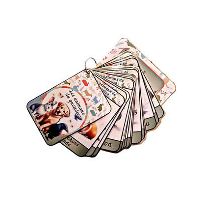 🐞Imagiers Le Duo " Animaux et Petites Bêtes du quotidien"🐈 Ninimagine