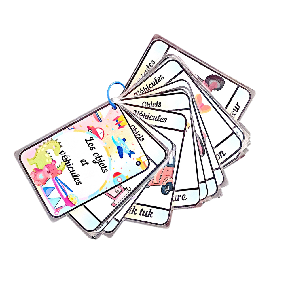 🐮🌈 Imagiers Éducatifs Pack Découverte 🍎🚗 Ninimagine