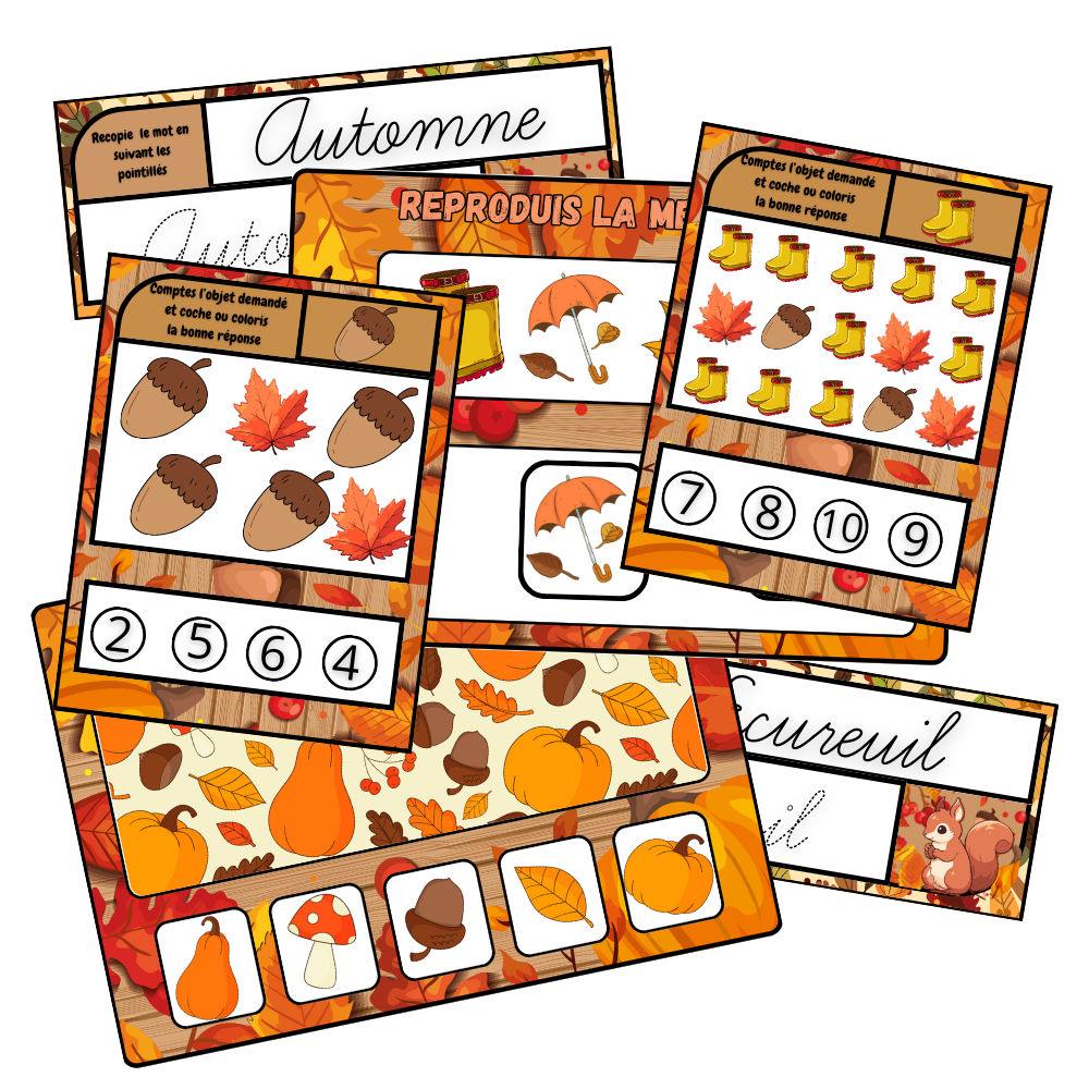 Box 4 Spéciale Automne 🍂 Ninimagine