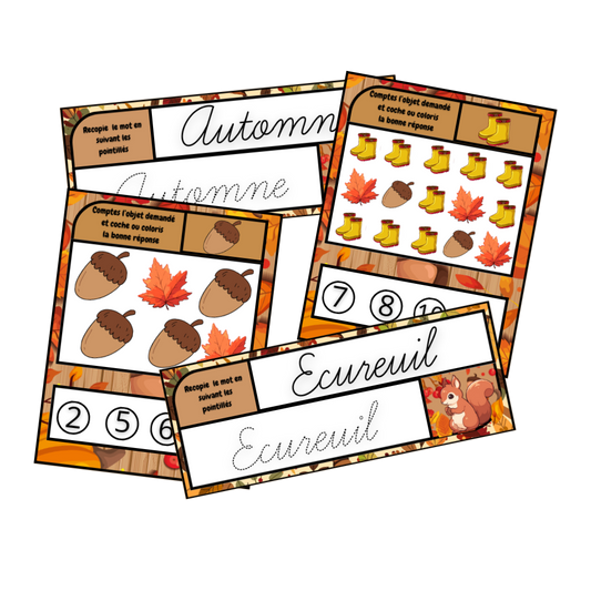 Box 4 Spéciale Automne 🍂 Ninimagine