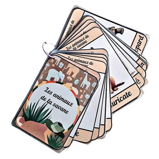 🌿🦓Imagier Educatif " Les Animaux de la Savane" 🦁🌿 Ninimagine