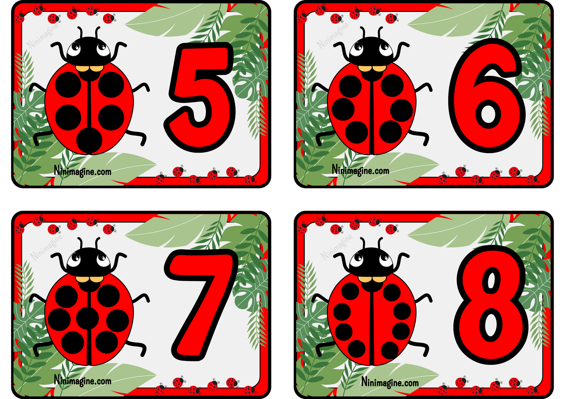 Les calculs avec Madame Coccinelle Ninimagine