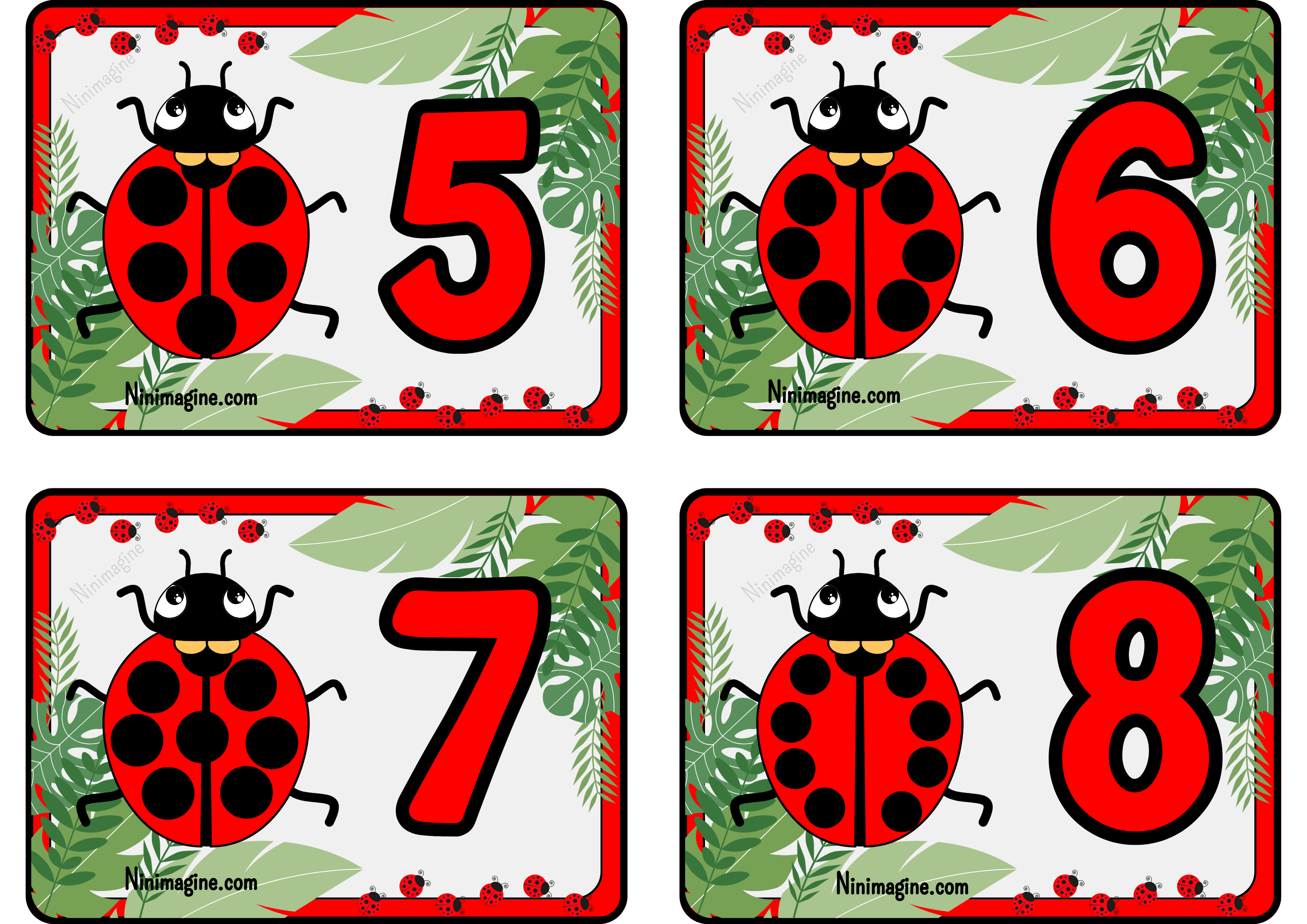 Les calculs avec Madame Coccinelle Ninimagine