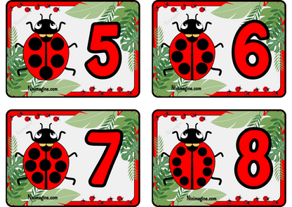 Les calculs avec Madame Coccinelle Ninimagine