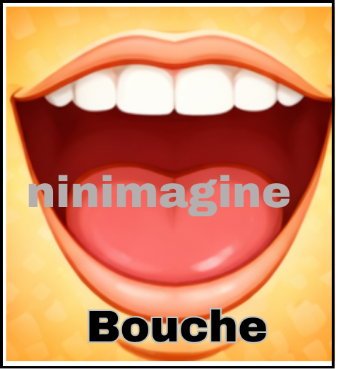 🤚Partie du corps🦵 Ninimagine