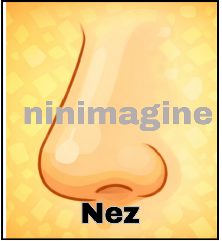 🤚Partie du corps🦵 Ninimagine