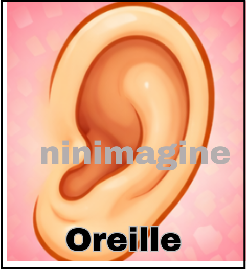 🤚Partie du corps🦵 Ninimagine