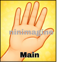 🤚Partie du corps🦵 Ninimagine