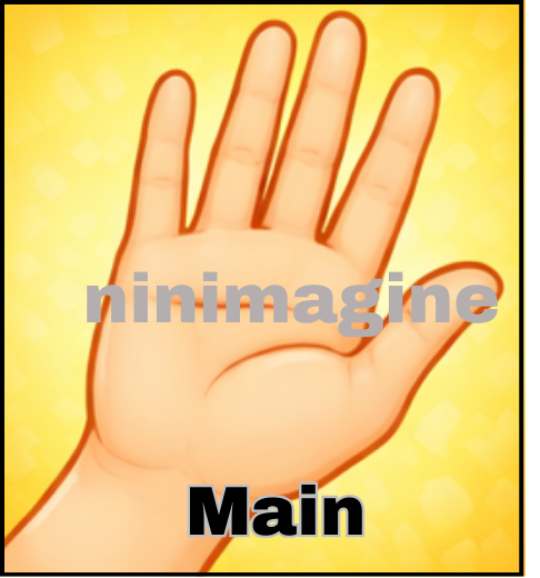 🤚Partie du corps🦵 Ninimagine